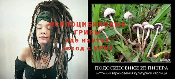 apvp Каменск-Шахтинский