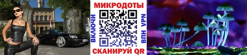 Галлюциногенные грибы Psilocybine cubensis  Купить  Россошь 